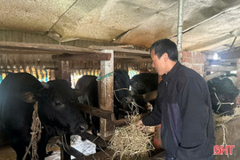 Tùng Lộc hỗ trợ sinh kế, giúp người dân thoát nghèo bền vững