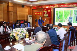 Trang bị kiến thức sản xuất lúa tạo tín chỉ carbon