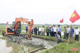 Tích tụ ruộng đất giúp mở lối sản xuất quy mô lớn ở Tùng Lộc