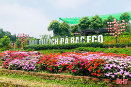 Đá bạc Eco được công nhận là điểm du lịch cấp tỉnh