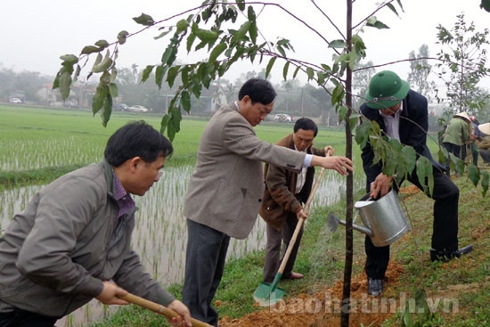 Can Lộc phát động "Tết trồng cây" ảnh 2