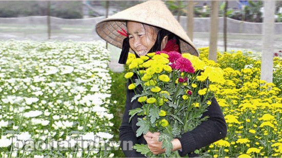 Lộc mới bừng xanh... ảnh 2