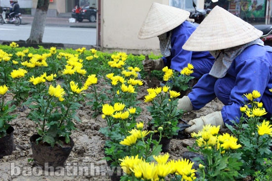 Thành phố Hà Tĩnh trang hoàng đón tết ảnh 9