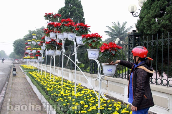 Thành phố Hà Tĩnh trang hoàng đón tết ảnh 7