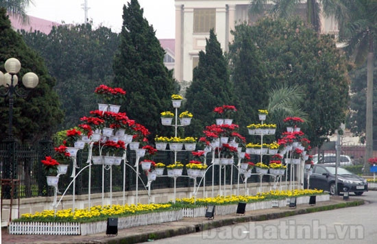 Thành phố Hà Tĩnh trang hoàng đón tết ảnh 5