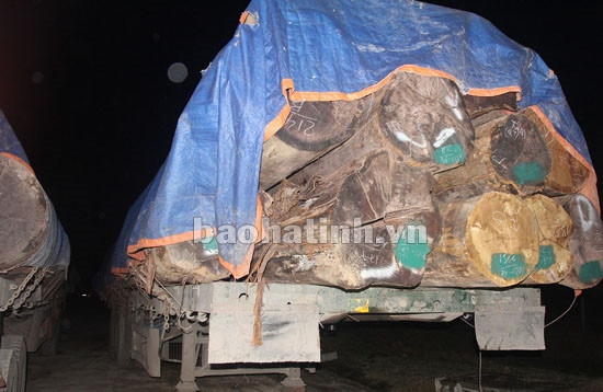 45 xe đầu kéo chở gỗ vi phạm tải trọng ảnh 2