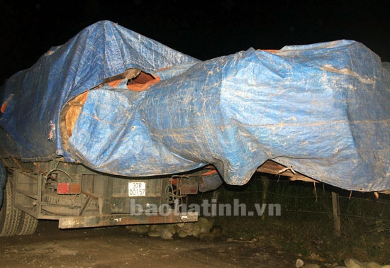 45 xe đầu kéo chở gỗ vi phạm tải trọng ảnh 3