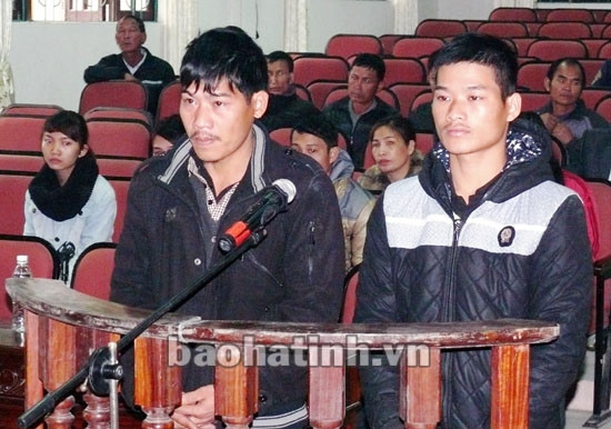 Hai anh em buôn 71kg pháo lĩnh 69 tháng tù giam ảnh 1