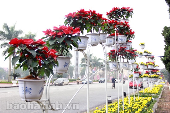 Thành phố Hà Tĩnh trang hoàng đón tết ảnh 1