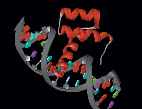 Ảnh minh họa đồ họa liên kết protein