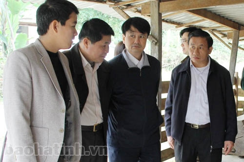 Không để xảy ra các điểm "nóng" về rừng trong dịp Tết nguyên đán ảnh 2