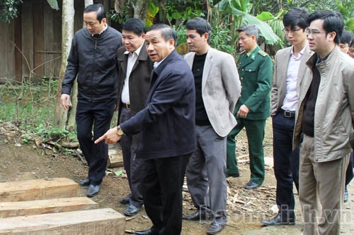 Không để xảy ra các điểm "nóng" về rừng trong dịp Tết nguyên đán ảnh 1