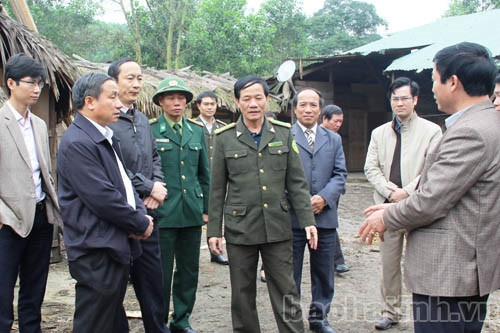 Không để xảy ra các điểm "nóng" về rừng trong dịp Tết nguyên đán ảnh 4