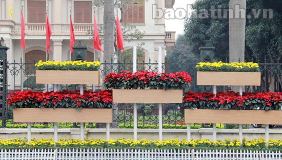 Thành phố Hà Tĩnh trang hoàng đón tết ảnh 6