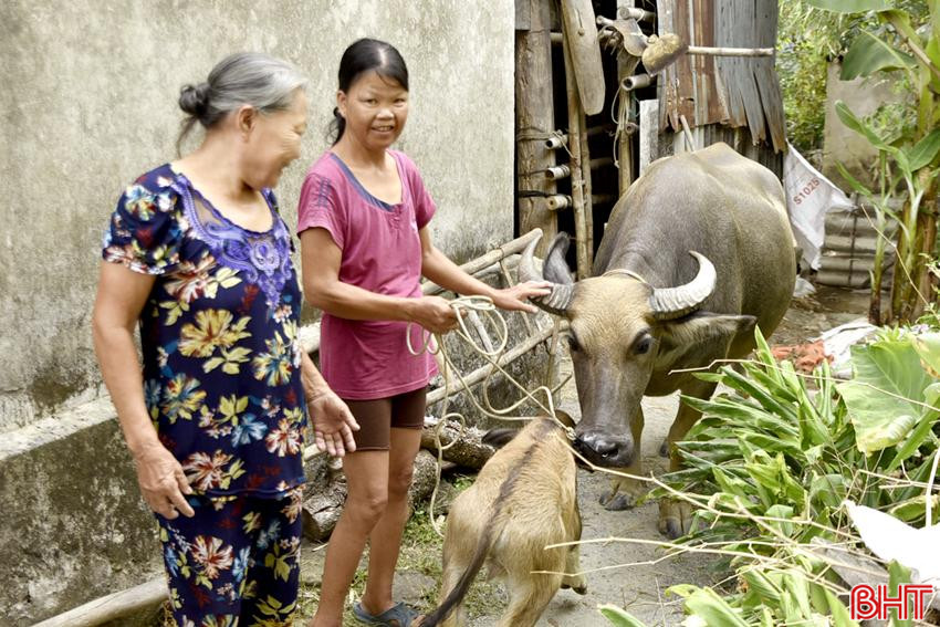 Bà Phan Thị Anh (áo hồng) ở thôn Thuận Trung, xã Thuận Lộc phấn khởi khi được tiếp cận nguồn vốn vay để phát triển kinh tế. DT_DSC2534.jpg