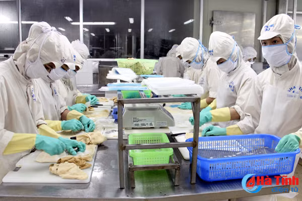 kim ngach xuat khau thuy san ha tinh dat 4 6 trieu usd