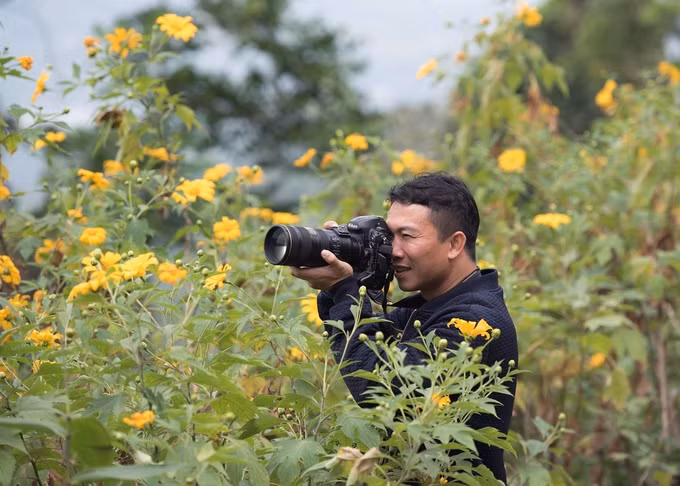 hoa da quy trai tham vang ruc ro o ba vi
