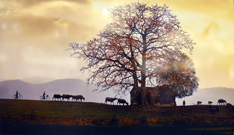 xem anh dep long lay cua di san van hoa viet nam 2017