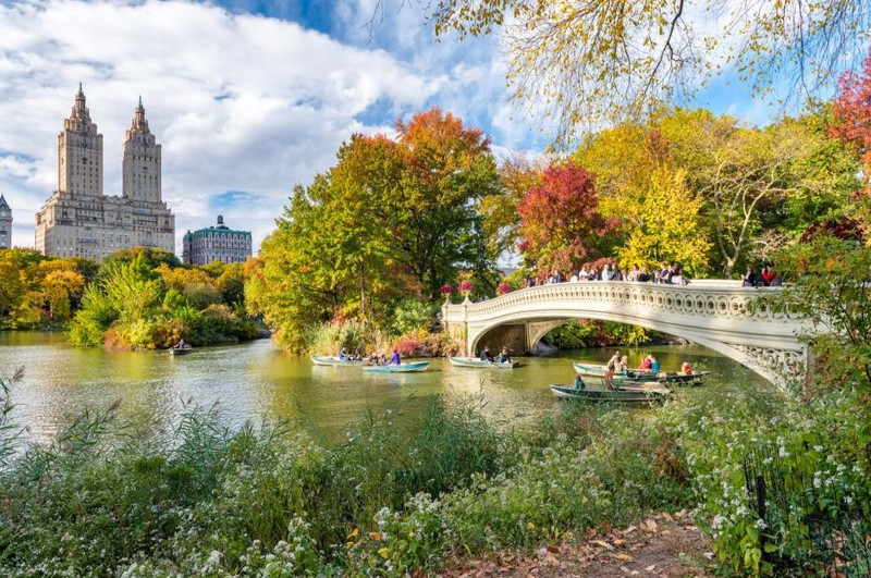 Hồ công viên trung tâm, New York, Mỹ: Cho đến những năm 1850, công viên Trung tâm ở New York là một quần đảo trên một vùng đất hoang vu. Sau đó, nơi đây được 2 nhà thiết kế Frederick Law Olmsted và Calvert Vaux biến đổi thành một khu vực bao gồm rừng, môi trường sống cho động vật hoang dã, bãi cỏ, khu vui chơi và trung tâm là hồ nước tuyệt đẹp. Ngày nay, công viên là một trong những địa điểm đông du khách nhất trong thành phố, thu hút cả người dân địa phương và khách du lịch quốc tế. Ảnh: GagliardiImages/Shutterstock. nhung ho nuoc nhan tao tuyet dep tren the gioi