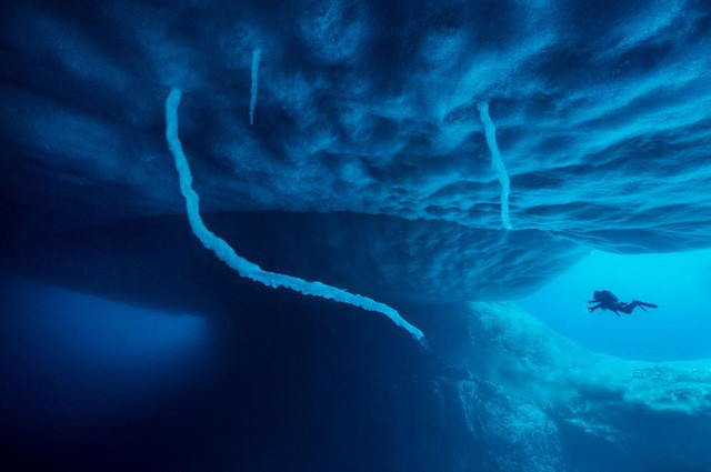 nhung khoanh khac dep cua mua dong the gioi