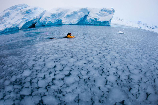 nhung khoanh khac dep cua mua dong the gioi