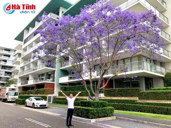 mua phuong tim ruc ro o australia qua ong kinh du hoc sinh ha tinh