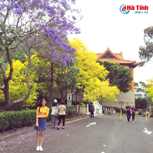 mua phuong tim ruc ro o australia qua ong kinh du hoc sinh ha tinh