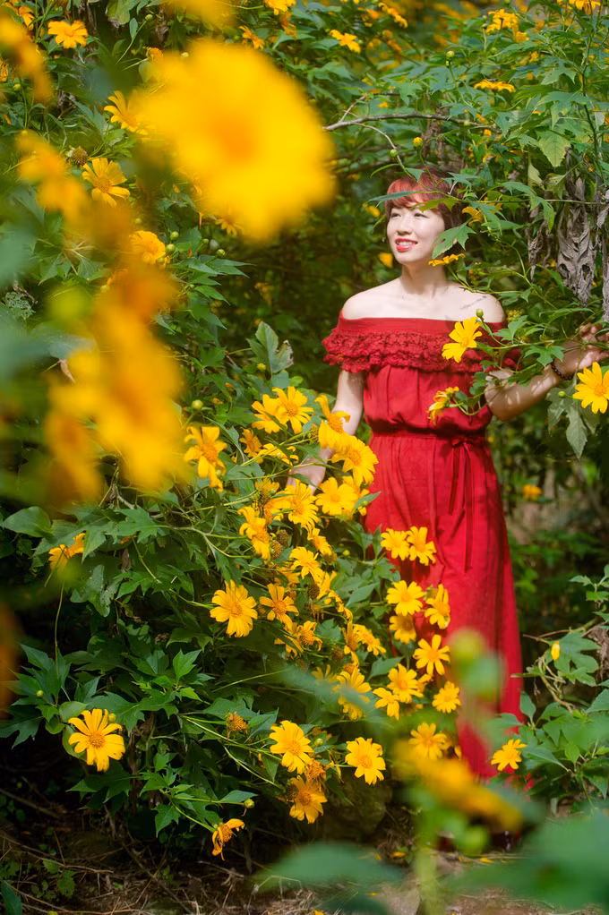 hoa da quy trai tham vang ruc ro o ba vi