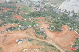 Chậm khắc phục tình trạng rú bị "cạo trọc" ở Nghi Xuân