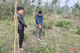 Ra nghĩa trang “chơi” ma tuý, 2 đối tượng bị khởi tố