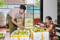Cam chanh Hà Tĩnh đầu mùa giá cao vẫn hút khách