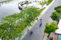 Những khoảng xanh giữa ngày hè 