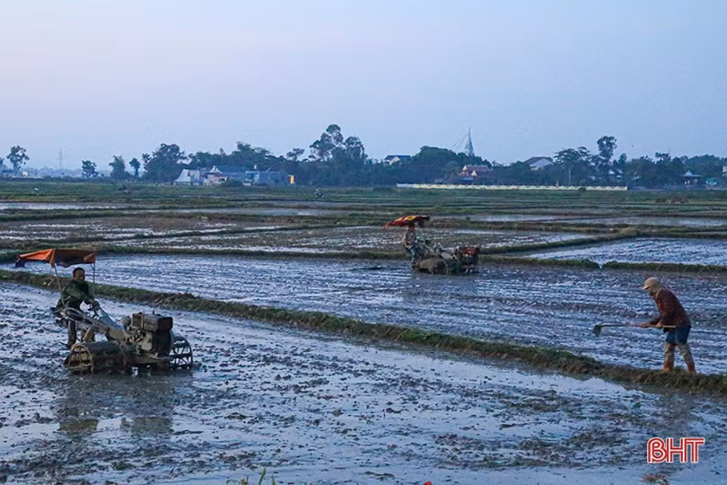 Nông dân Hà Tĩnh đẩy nhanh tiến độ gieo cấy, đảm bảo lịch thời vụ