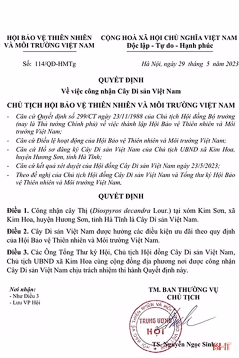 Cây thị hơn 700 năm tuổi ở Hương Sơn được công nhận là Cây Di sản Việt Nam