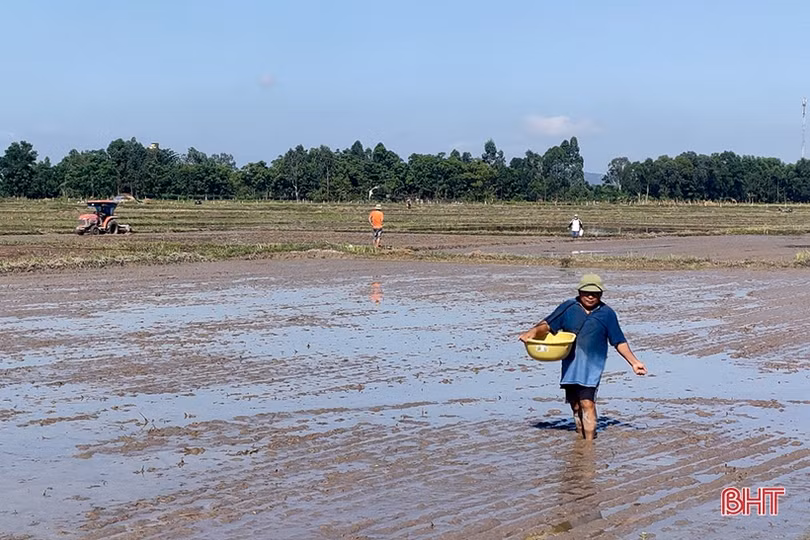 Tiến độ làm đất sản xuất lúa hè thu của Can Lộc đạt hơn 71%