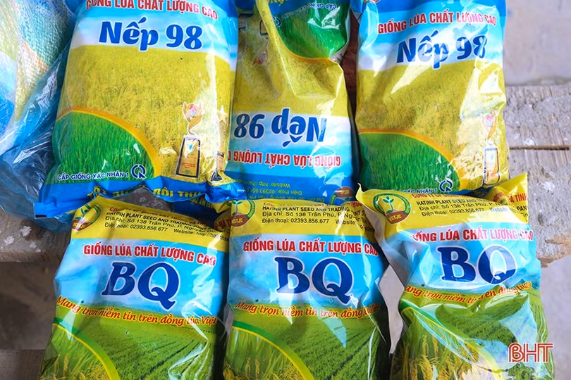 Hà Tĩnh chủ động sản xuất, đảm bảo vụ hè thu “ăn chắc”