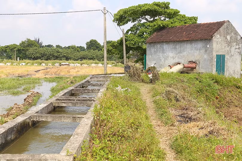 Hà Tĩnh chủ động sản xuất, đảm bảo vụ hè thu “ăn chắc”