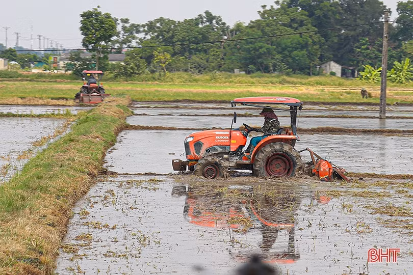 Nông dân Hà Tĩnh đẩy nhanh tiến độ gieo cấy, đảm bảo lịch thời vụ
