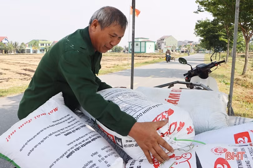 Nhân rộng mô hình sản xuất lúa theo hướng hữu cơ ở Cẩm Xuyên