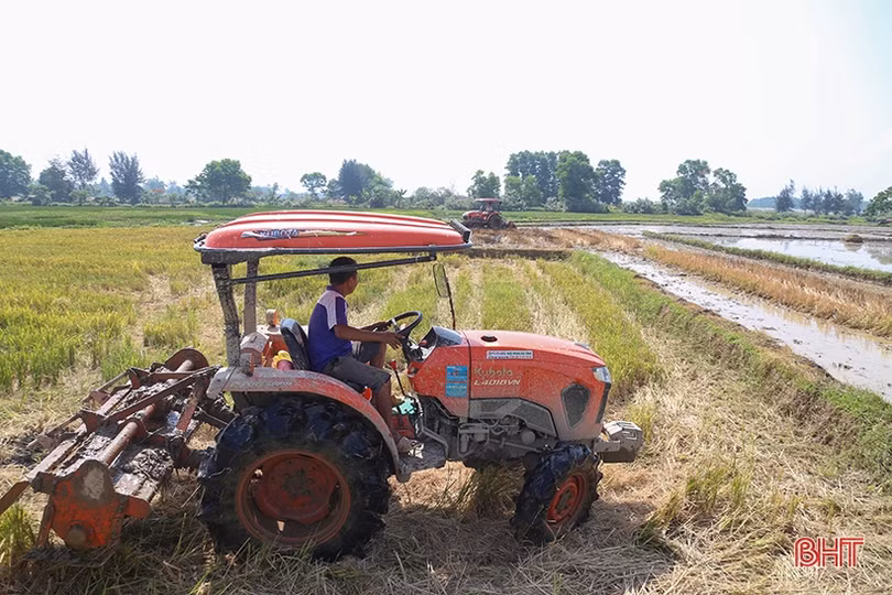 Hà Tĩnh chủ động sản xuất, đảm bảo vụ hè thu “ăn chắc”