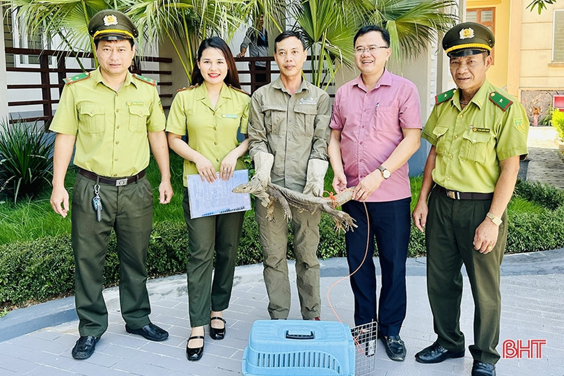 Bàn giao cá thể kỳ đà hoa cho Vườn Quốc gia Vũ Quang