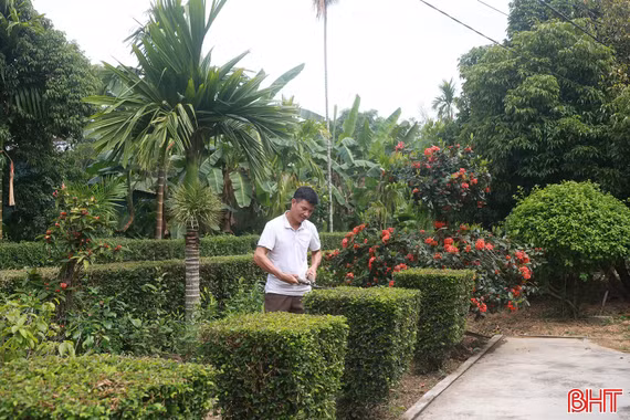 Về miền quê xanh ở xã Hương Phố