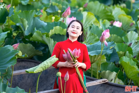 Hoa sen khoe sắc thu hút người dân check-in