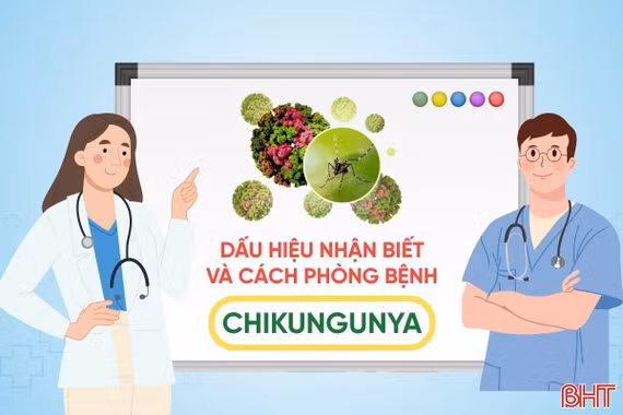 [Motion Graphics] Dấu hiệu nhận biết và cách phòng bệnh Chikungunya