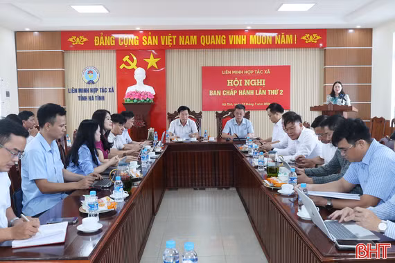 Tiếp tục nâng cao hiệu quả hoạt động của hợp tác xã