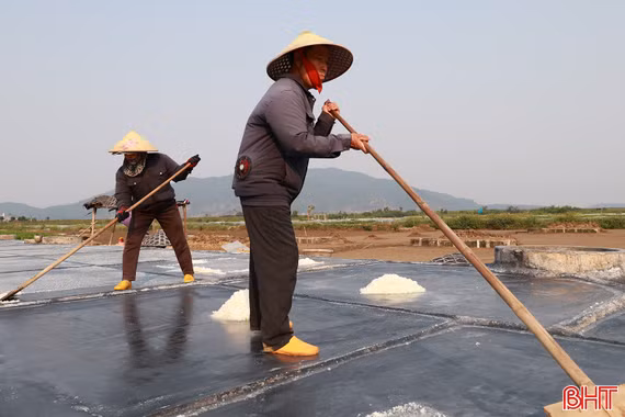 Nắng gay gắt, diêm dân tích cực bám đồng sản xuất