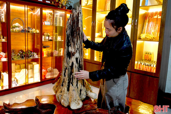 Những khối trầm “độc bản” giá hàng trăm triệu đồng ở Hà Tĩnh