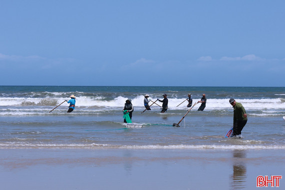 Ốc tép dạt vào bờ, ngư dân Hà Tĩnh kiếm tiền triệu mỗi ngày