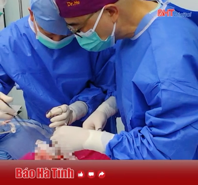 Lần đầu tiên cấy ghép phổi lợn cho người