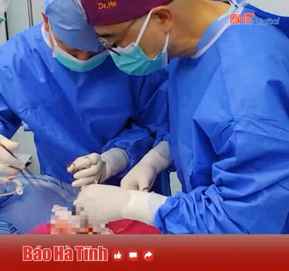 Lần đầu tiên cấy ghép phổi lợn cho người